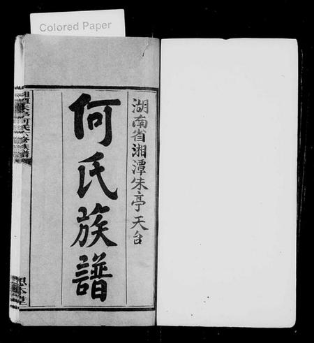 湖南何氏族谱-湖南省湘潭朱亭天台何氏族谱 [36卷,含卷首].pdf电子版预览图2