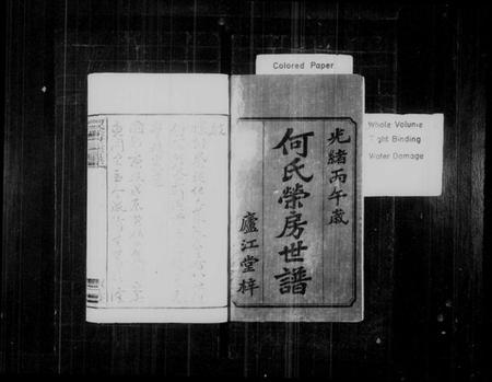 湖南何氏族谱-何氏荣房三修世谱 [16卷,首2卷,末1卷].pdf电子版预览图2