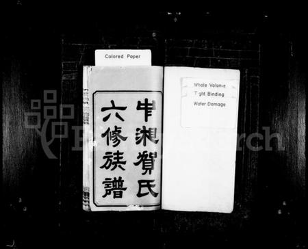 湖南贺氏族谱-中湘贺氏六修族谱 [14卷].pdf电子版预览图2