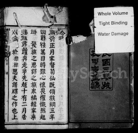 湖南贺氏族谱-涟湘贺氏族谱 [21卷,首1卷].pdf电子版预览图4