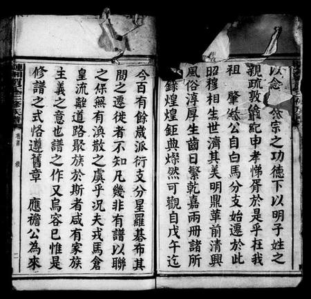 湖南贺氏族谱-涟湘贺氏族谱 [21卷,首1卷].pdf电子版预览图5