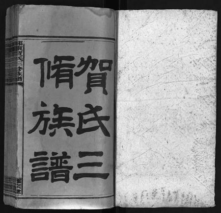 湖南贺氏族谱-贺氏三修族谱 [21卷,首20卷].pdf电子版预览图2