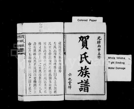 湖南贺氏族谱-贺氏族谱 [12卷,首1卷,末2卷].pdf电子版预览图2