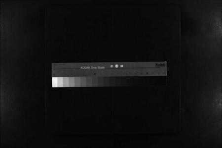 湖南贺氏族谱-贺氏族谱 [不分卷].pdf电子版缩略图