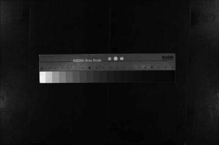 湖南贺氏族谱-贺氏族谱 [诚房25卷,信房9卷,祚房4卷,首6卷].pdf电子版缩略图