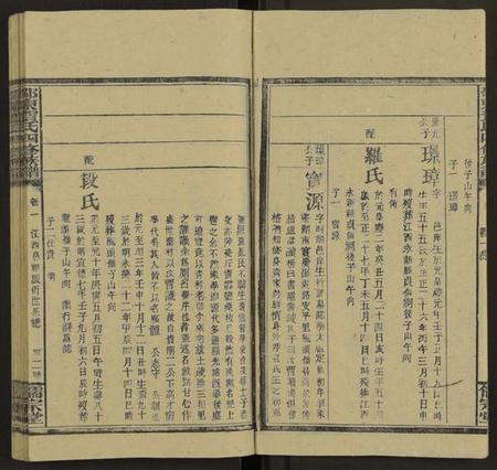 湖南贺氏族谱-邵东贺氏四修族谱[25卷, 卷首12卷末1].pdf电子版预览图3