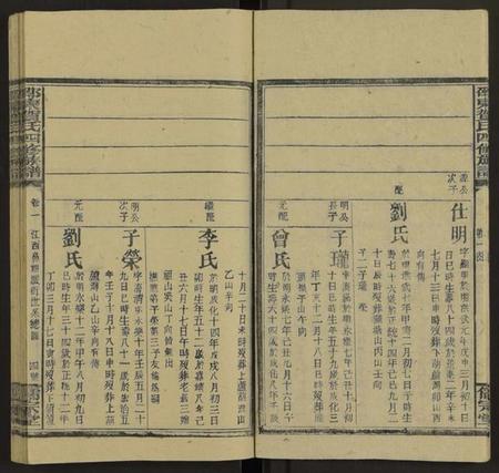 湖南贺氏族谱-邵东贺氏四修族谱[25卷, 卷首12卷末1].pdf电子版预览图5