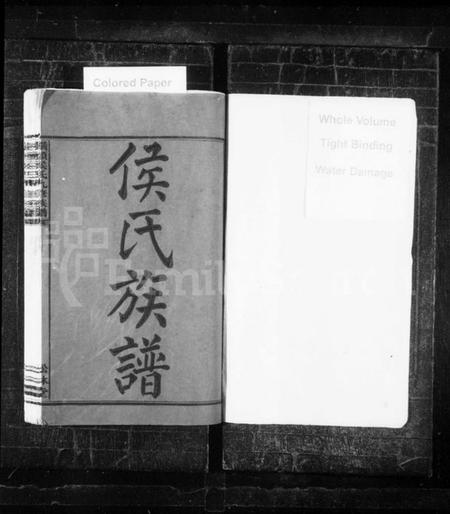 湖南侯氏族谱-侯氏九修族谱 [5卷,首1卷].pdf电子版预览图2