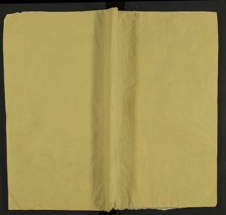 湖南胡氏族谱-上湘胡氏续修支谱 [8卷及卷首].pdf电子版缩略图