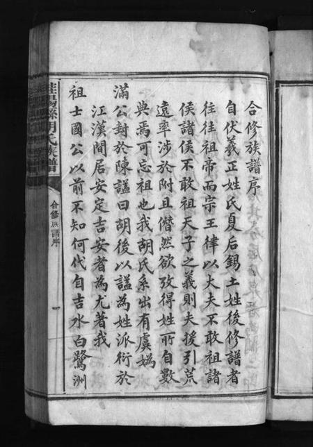 湖南胡氏族谱-桂阳县胡氏族谱 [不分卷].pdf电子版预览图3