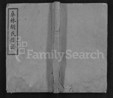 湖南胡氏族谱-桑林胡氏族谱 [16卷,首2卷].pdf电子版缩略图