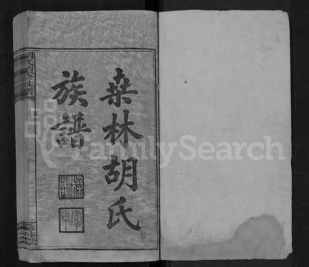 湖南胡氏族谱-桑林胡氏族谱 [16卷,首2卷].pdf电子版预览图1