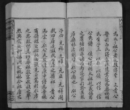 湖南胡氏族谱-桑林胡氏族谱 [16卷,首2卷].pdf电子版预览图4