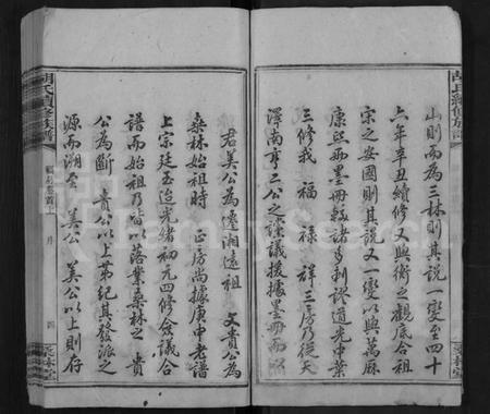 湖南胡氏族谱-桑林胡氏族谱 [16卷,首2卷].pdf电子版预览图5