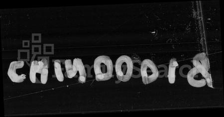 湖南胡氏族谱-机纺胡氏族谱 [13卷,首2卷,末1卷].pdf电子版预览图4