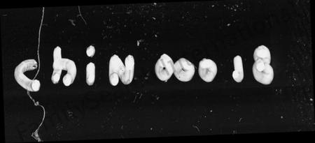 湖南胡氏族谱-浮邱紫陵胡氏五谱 [5卷,首2卷].pdf电子版预览图1