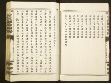 湖南胡氏族谱-湘赣胡氏续修联谱[19卷,首2卷].pdf电子版预览图5