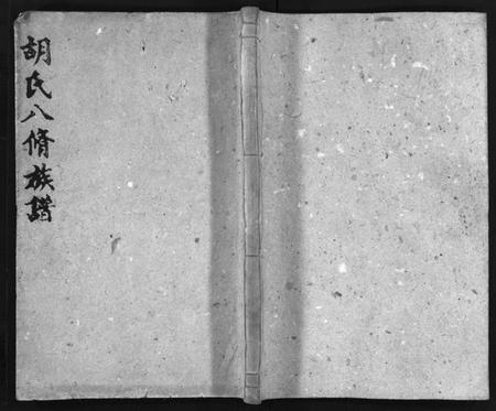 湖南胡氏族谱-胡氏八修族谱 [12卷,首1卷].pdf电子版预览图1