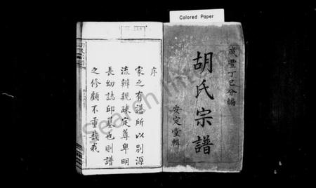 湖南胡氏族谱-胡氏宗谱.pdf电子版预览图2