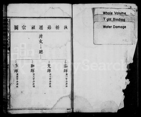 江西丁氏族谱-沙桥丁氏族谱 [12卷].pdf电子版预览图2