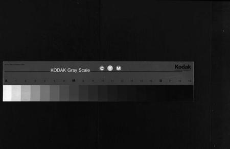 湖南胡氏族谱-胡氏族谱 [10卷,首1卷].pdf电子版缩略图