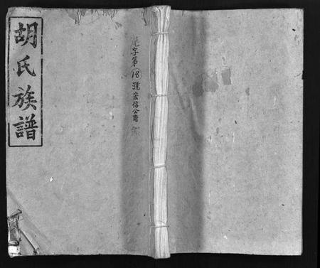 湖南胡氏族谱-胡氏族谱 [10卷,首1卷].pdf电子版预览图1