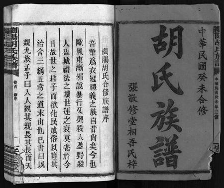 湖南胡氏族谱-胡氏族谱 [10卷,首1卷].pdf电子版预览图2