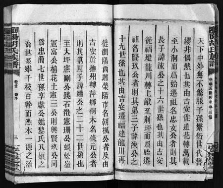 湖南胡氏族谱-胡氏族谱 [10卷,首1卷].pdf电子版预览图4