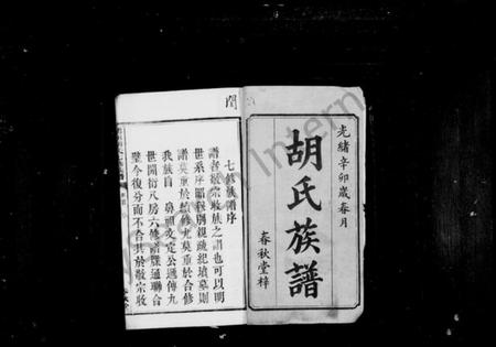 湖南胡氏族谱-胡氏族谱 [12卷,首1卷].pdf电子版预览图2