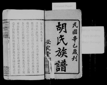 湖南胡氏族谱-胡氏族谱 [8卷,首6卷].pdf电子版预览图2