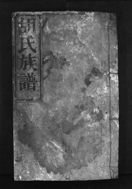 湖南胡氏族谱-胡氏族谱 [不分卷].pdf电子版预览图1