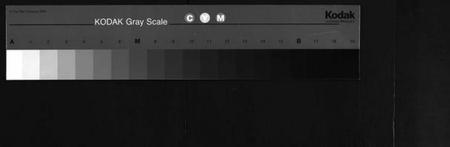 湖南胡氏族谱-胡氏族谱[2册].pdf电子版缩略图