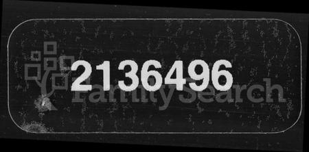 湖南胡氏族谱-郴州兴宁县城南胡氏族谱.pdf电子版缩略图