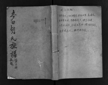 湖南胡氏族谱-麦田胡氏族谱 [20卷,首末各1卷].pdf电子版预览图1