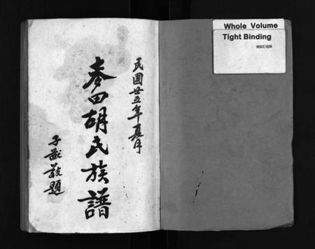 湖南胡氏族谱-麦田胡氏族谱 [20卷,首末各1卷].pdf电子版预览图2