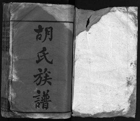 湖南胡氏族谱-胡氏合修族谱 [26卷,首4卷].pdf电子版预览图2