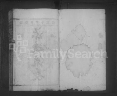 湖南胡氏族谱-桂阳县胡氏族谱 [不分卷].pdf电子版预览图1