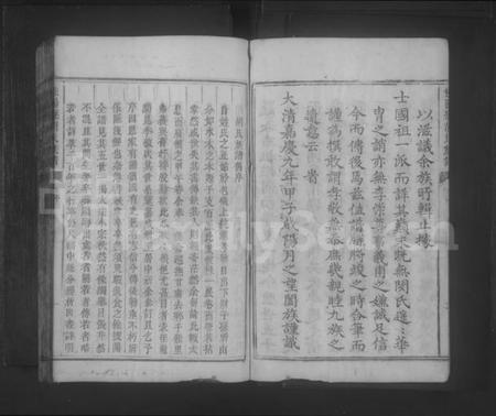 湖南胡氏族谱-桂阳县胡氏族谱 [不分卷].pdf电子版预览图4