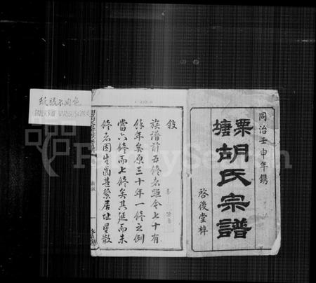 湖南胡氏族谱-栗塘胡氏宗谱 [9卷, 末1卷].pdf电子版预览图3