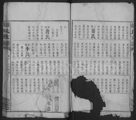 湖南胡氏族谱-胡氏支谱 [4卷,首末各1卷].pdf电子版预览图2