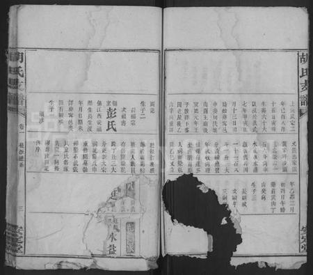 湖南胡氏族谱-胡氏支谱 [4卷,首末各1卷].pdf电子版预览图3