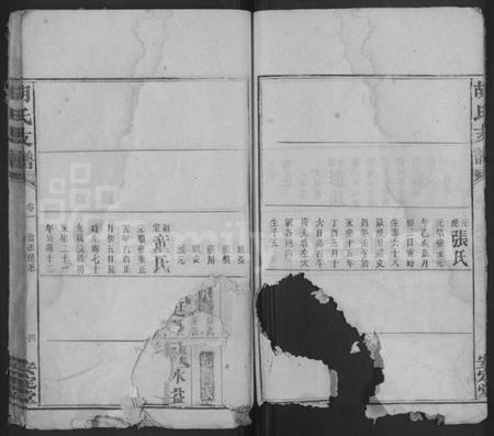 湖南胡氏族谱-胡氏支谱 [4卷,首末各1卷].pdf电子版预览图4