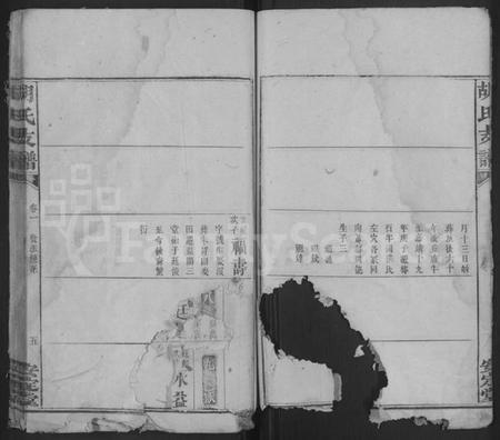 湖南胡氏族谱-胡氏支谱 [4卷,首末各1卷].pdf电子版预览图5