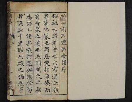 湖南胡氏族谱-胡氏族谱 [1卷].pdf电子版预览图1