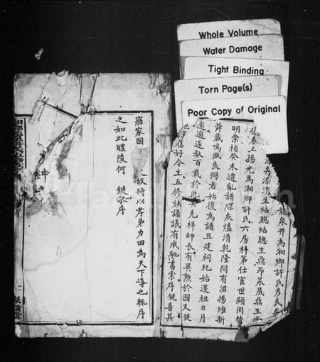 湖南许氏族谱-湘乡龙泉许氏五修族谱 [25卷].pdf电子版预览图4