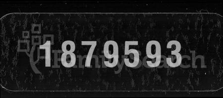 湖南黄氏族谱-上湘蒿子坪黄氏四修族谱 [9卷,首2卷].pdf电子版缩略图