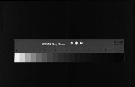 湖南黄氏族谱-桐冈黄氏六修族谱 [残卷].pdf电子版缩略图