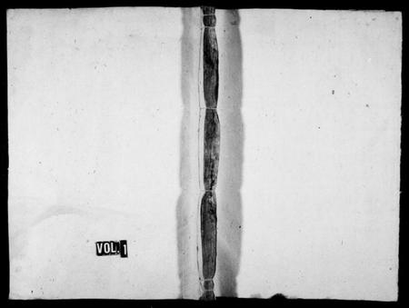 湖南黄氏族谱-梅溪黄氏九修族谱 [21卷].pdf电子版预览图1