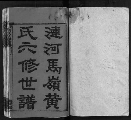 湖南黄氏族谱-涟河马岭黄氏六修世谱[卷数不详].pdf电子版预览图2