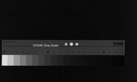 湖南黄氏族谱-蒿子坪黄氏族谱 [12卷,首4卷].pdf电子版缩略图